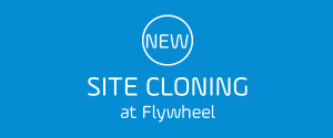 WordPress Site Cloning