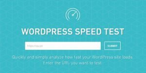 WordPress Speed Test