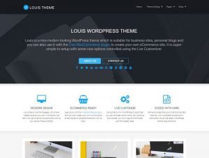 Louis WordPress Theme