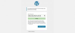 WordPress Password Security