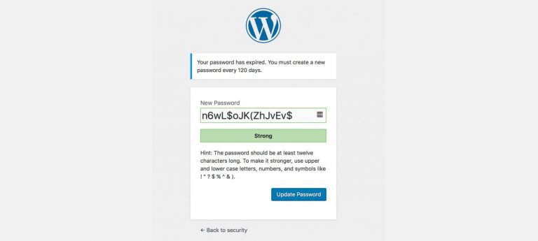 WordPress Password Security