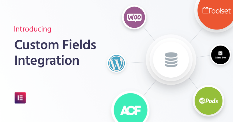 Custom Fields Integration