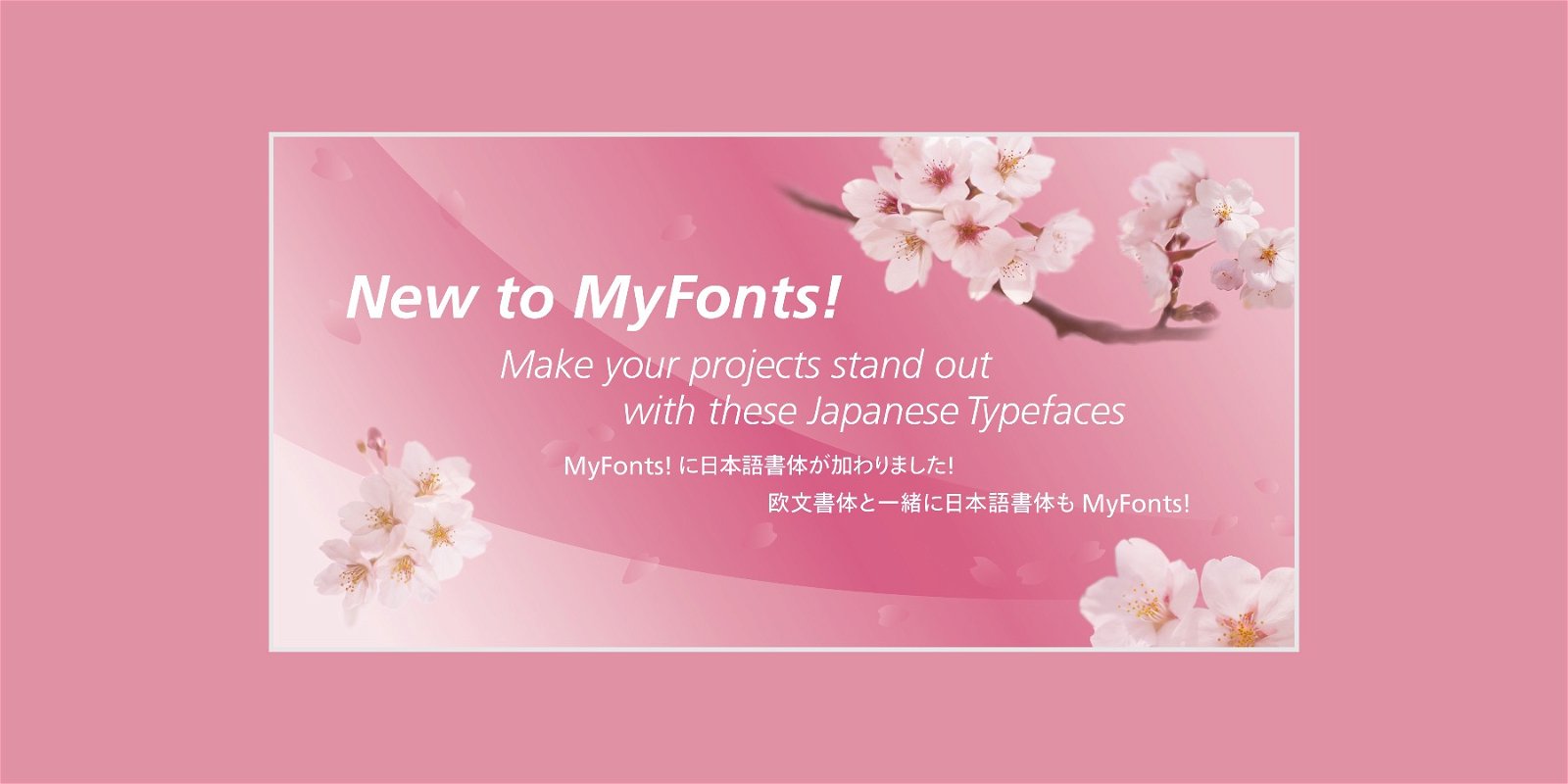 Japanese Typefaces