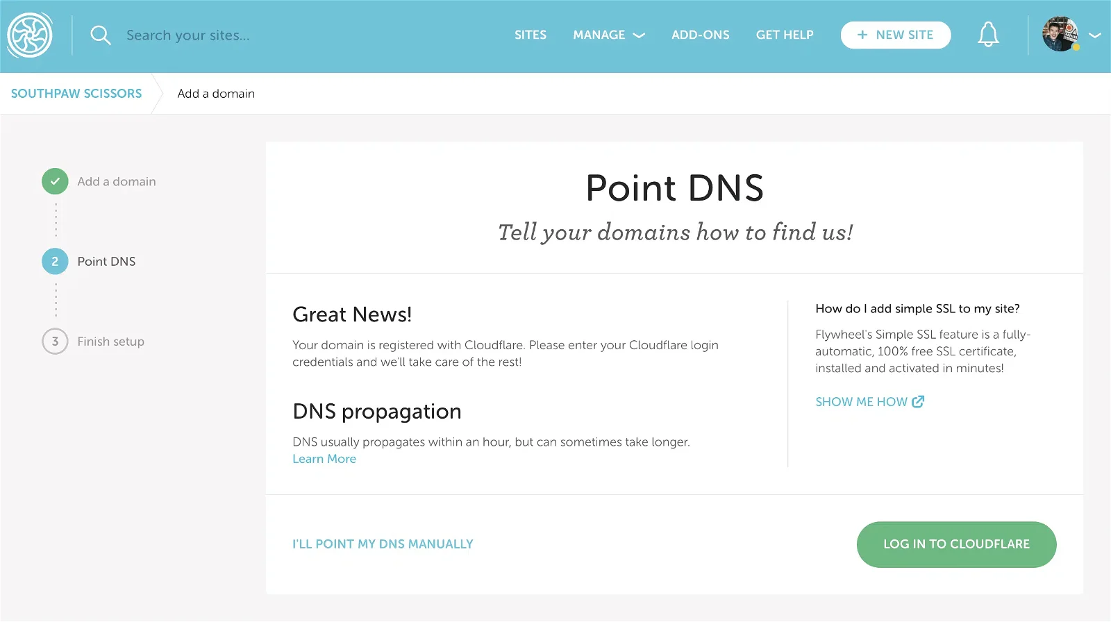 Point DNS
