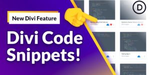 Divi Code Snippets