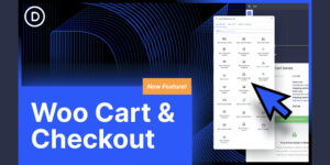 Woo Cart & Checkout