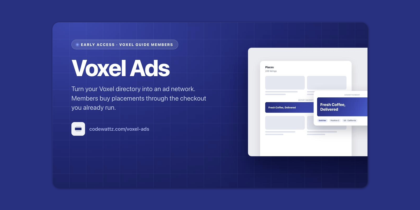 Voxel Ads