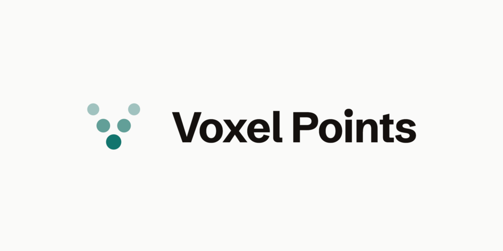 Voxel Points